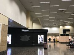 -米兰马尔彭萨国际机场