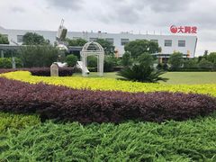 -上海浦东康桥绿地假日酒店