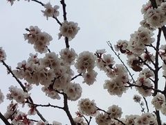 -迎泽公园