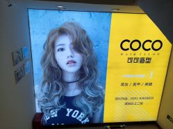 -可可丽舍