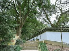 -上海佘山国家森林公园天马山园