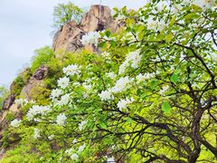 -秦岭终南山世界地质公园翠华山景区