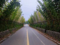 -桤木河湿地公园