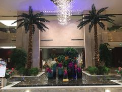 -常州环球恐龙城维景国际大酒店