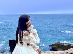 -广东惠东海龟国家级自然保护区