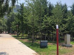 -长白岛森林公园