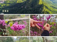 -天台山赤城山景区