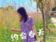 -洪湖家庭农场·团建·露营·会议