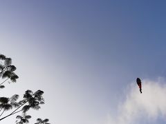 -深圳龙潭公园