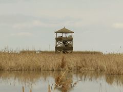 -盐城丹顶鹤湿地生态旅游区