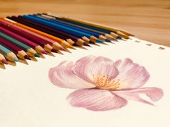 -一品格美术·中考高中成人美术培训