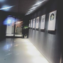 -静园瑜伽