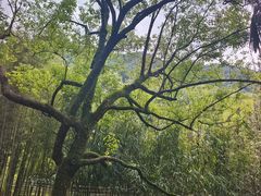 -黄公望隐居地