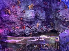 -沈阳海洋探索中心