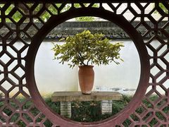 -上海醉白池公园