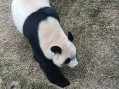 -泉州海丝野生动物世界