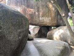 -火炉山森林公园