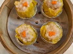 -点都德·毕德寮