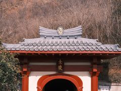 -洛阳古墓博物馆
