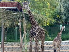 -水上乐园·欢乐世界