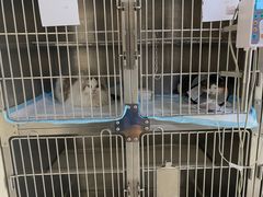 -北京佳信宠物医院