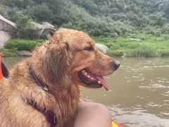 -紫荆关长城漂流