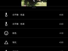 -海德公园