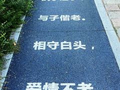 -老山国家森林公园
