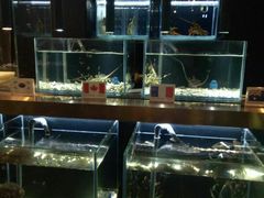 -璞御·海鲜·雪花牛肉局(宾水西道店)