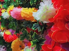 -花鸟鱼虫鲜花绿植市场(玉泉路店)