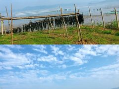 -北岐滩涂