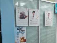 -全心全意连锁动物医院·微创中心·内科急重症·心脏专科(丰管路店)