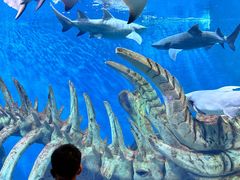 -波塞冬旅游度假区