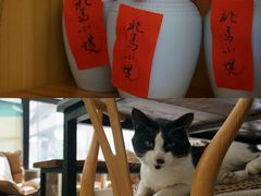 -北马山庄植趣咖啡