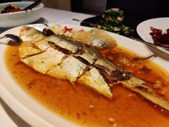 清蒸鲥鱼-HOMES上海本帮菜(襄阳公园店)