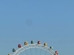 -上海野生动物园