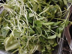 -雷山鱼酱酸汤鱼·酸汤牛肉(花果园T1区店)