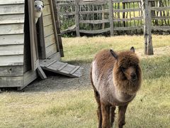 -祥源·阜阳生态乐园