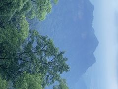 -青城山