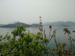 -望湖烤鱼
