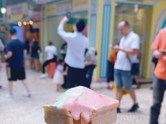 -柠檬车露(卖草地店)