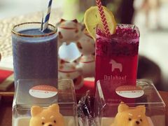 -柴犬高等学院·狗咖·柴犬售卖·宠物训练