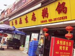 -蚝专家