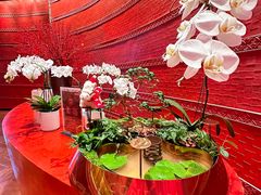 -北京康莱德酒店