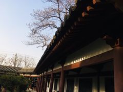-西安青龙寺遗址景区