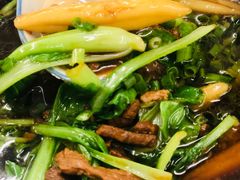老上海传统肉圆面疙瘩-逸桂禾面馆