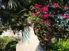 -惠州金海湾嘉华度假酒店