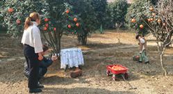 -莫奈庄园·儿童摄影馆·影视基地(江宁店)