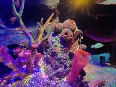 -沈阳海洋探索中心