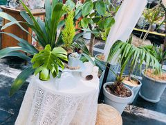 -北马山庄植趣咖啡